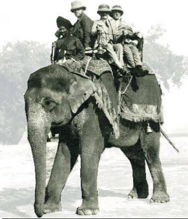 lutyens in elephant